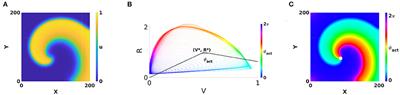 A Phase Defect Framework for the Analysis of Cardiac Arrhythmia Patterns